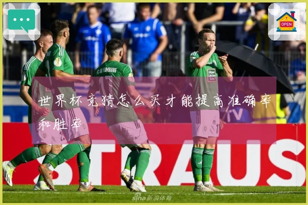 世界杯竞猜怎么买才能提高准确率和胜率