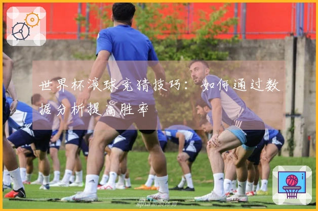 世界杯滚球竞猜技巧：如何通过数据分析提高胜率
