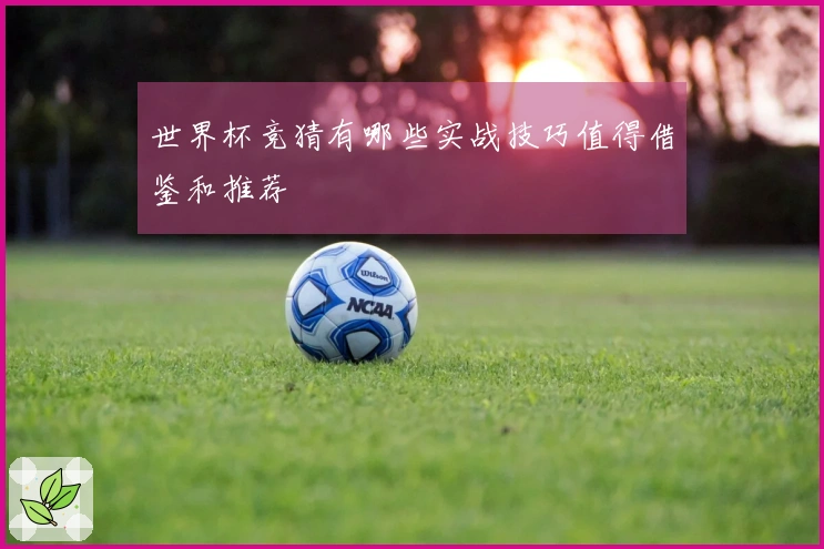 世界杯竞猜有哪些实战技巧值得借鉴和推荐