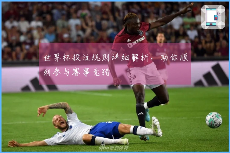 世界杯投注规则详细解析，助你顺利参与赛事竞猜