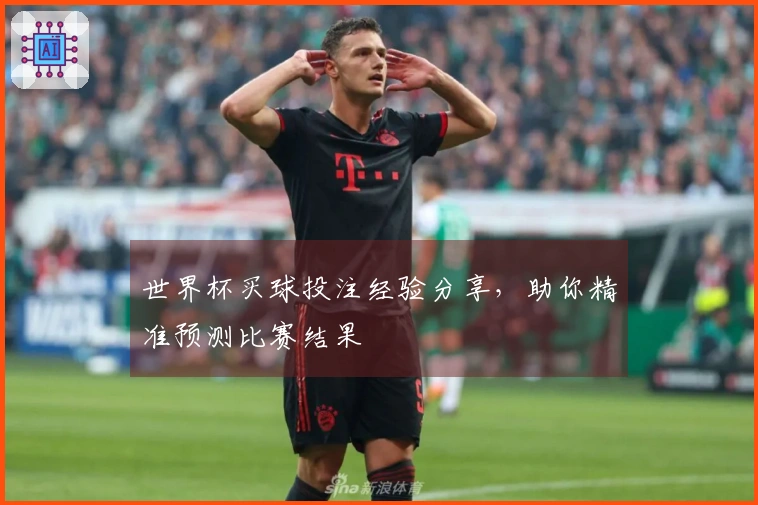 世界杯买球投注经验分享，助你精准预测比赛结果