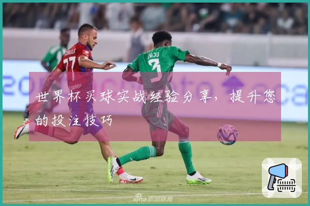 世界杯买球实战经验分享，提升您的投注技巧