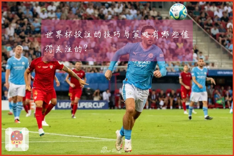 世界杯投注的技巧与策略有哪些值得关注的？