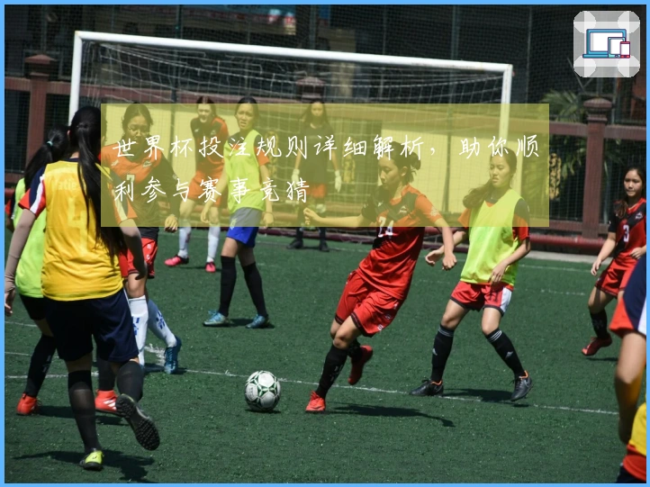 世界杯投注规则详细解析，助你顺利参与赛事竞猜