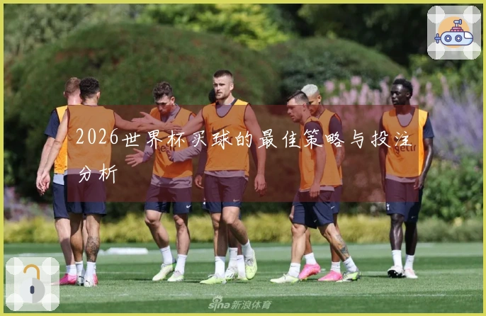 2026世界杯买球的最佳策略与投注分析