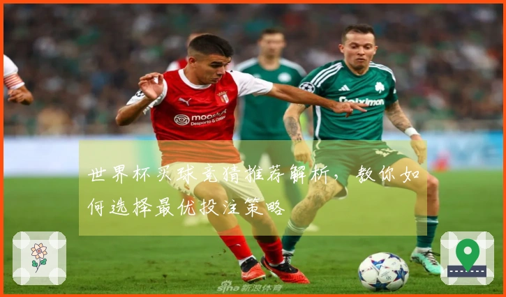 世界杯买球竞猜推荐解析，教你如何选择最优投注策略