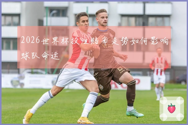 2026世界杯投注赔率走势如何影响球队命运