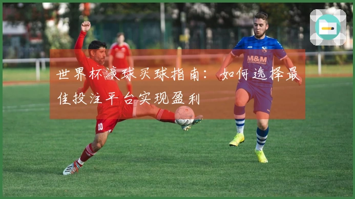 世界杯滚球买球指南：如何选择最佳投注平台实现盈利