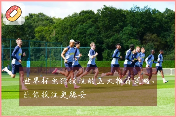 世界杯竞猜投注的五大推荐策略，让你投注更稳妥