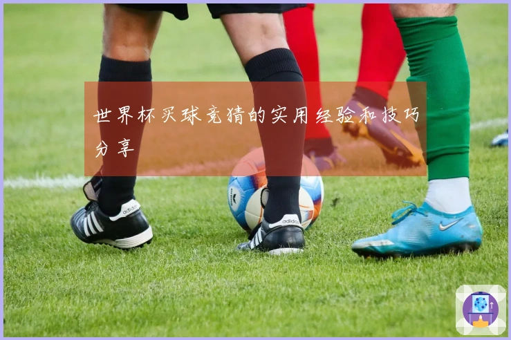 世界杯买球竞猜的实用经验和技巧分享