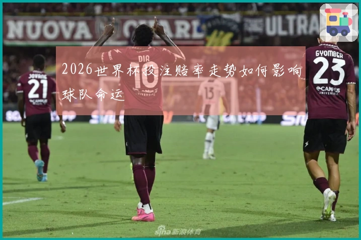 2026世界杯投注赔率走势如何影响球队命运