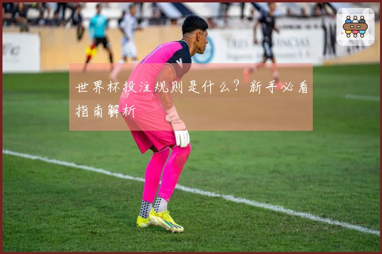 世界杯投注规则是什么？新手必看指南解析