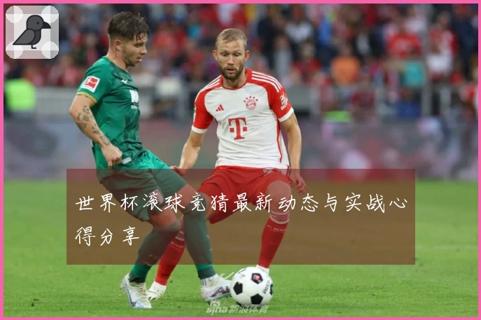世界杯滚球竞猜最新动态与实战心得分享