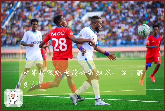 世界杯滚球竞猜必备知识，你了解多少？