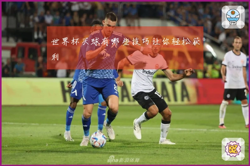 世界杯买球有哪些技巧让你轻松获利