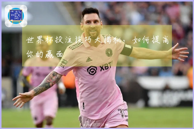 世界杯投注技巧大揭秘，如何提高你的赢面