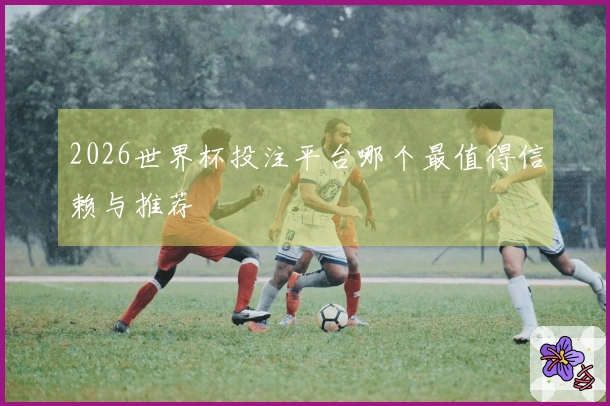 2026世界杯投注平台哪个最值得信赖与推荐