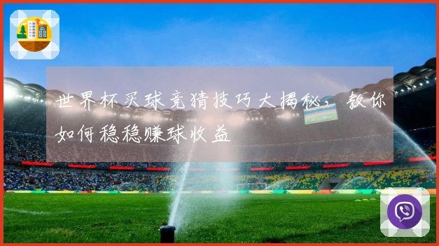 世界杯买球竞猜技巧大揭秘，教你如何稳稳赚球收益