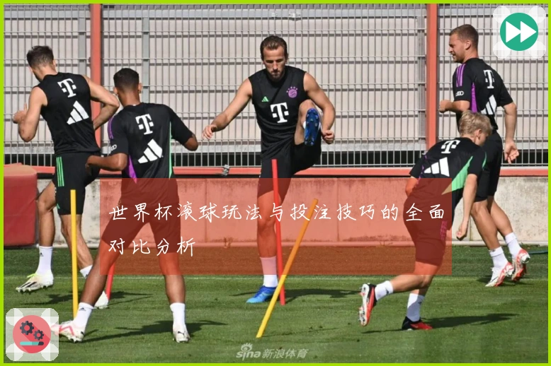 世界杯滚球玩法与投注技巧的全面对比分析