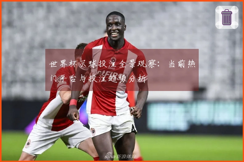 世界杯买球投注全景观察：当前热门平台与投注趋势分析
