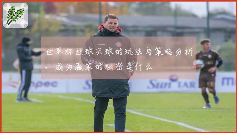 世界杯让球买球的玩法与策略分析，成为赢家的秘密是什么