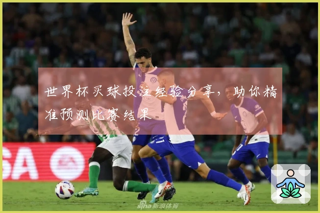 世界杯买球投注经验分享，助你精准预测比赛结果