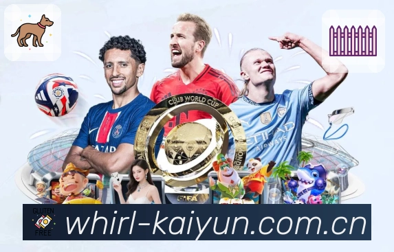 开云 体育赛事与数据服务平台